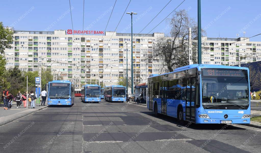 Közlekedés - Budapest - Autóbusz