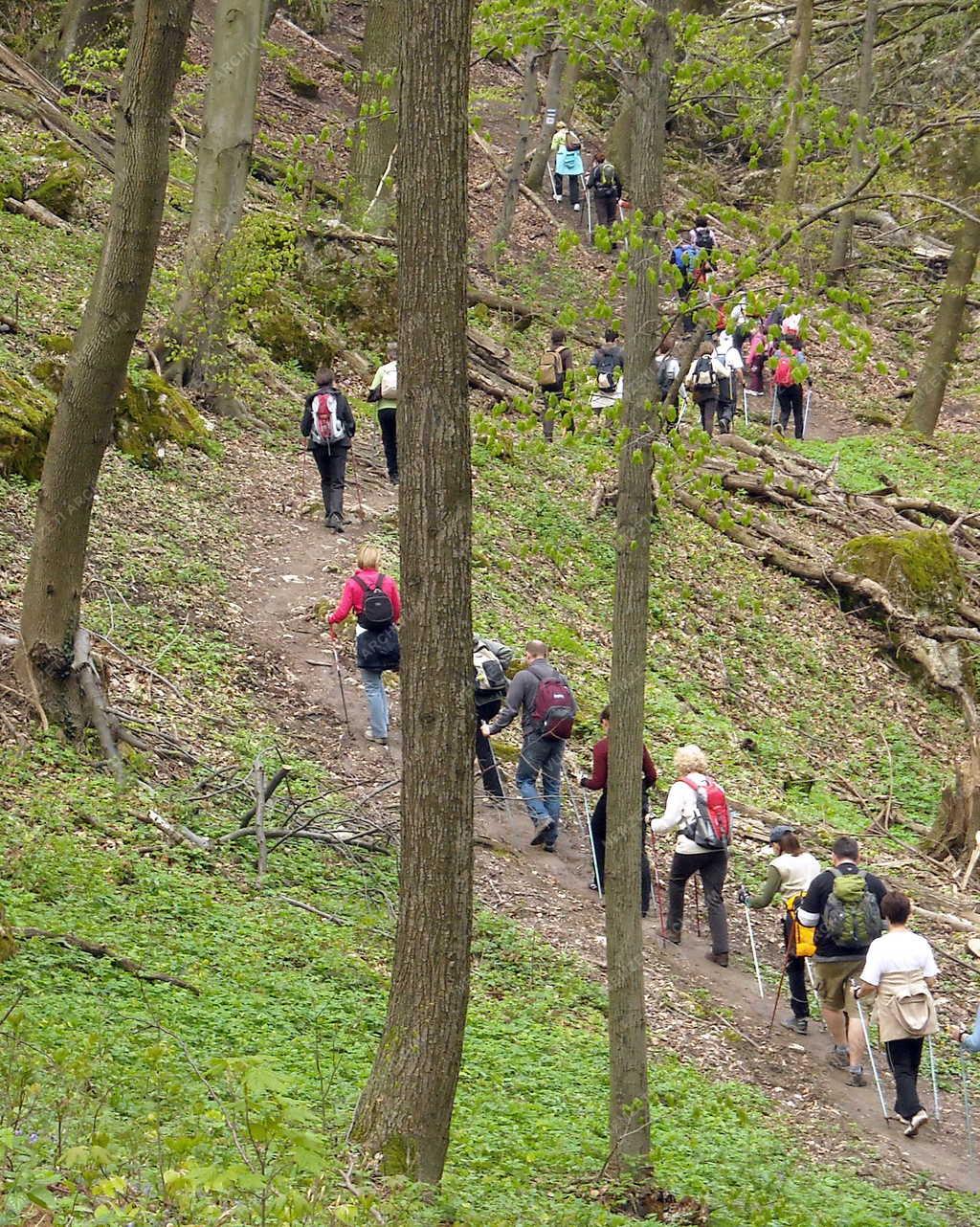 Vértes -  Természetjárás - Nordic Walkingozók 