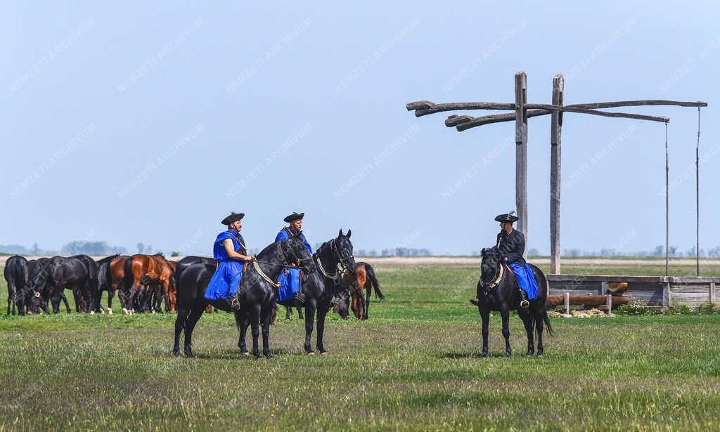 Turizmus - Hortobágy - Csikósok