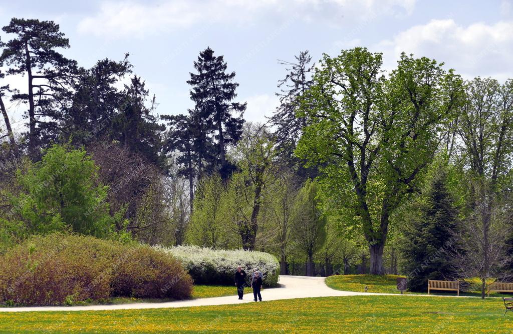 Városkép - Gödöllő - Grassalkovich-kastély parkja