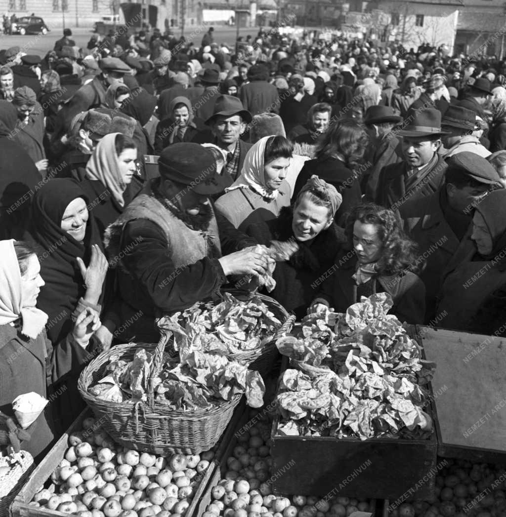 Kiskereskedelem - A Beloiannisz termelőszövetkezet kertészete