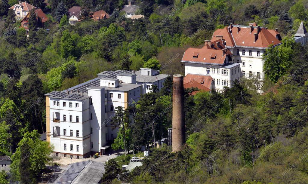 Tájkép - Egészségügy - Országos Korányi Tbc és Pulmonológiai Intézet 