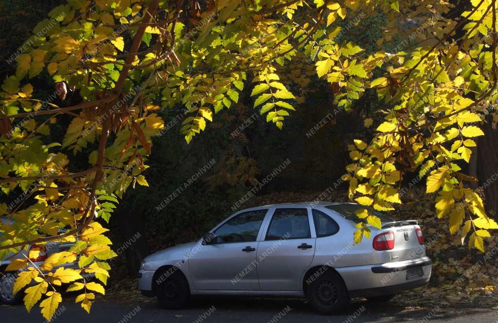 Közlekedés - Budapest - Parkoló személygépkocsi 