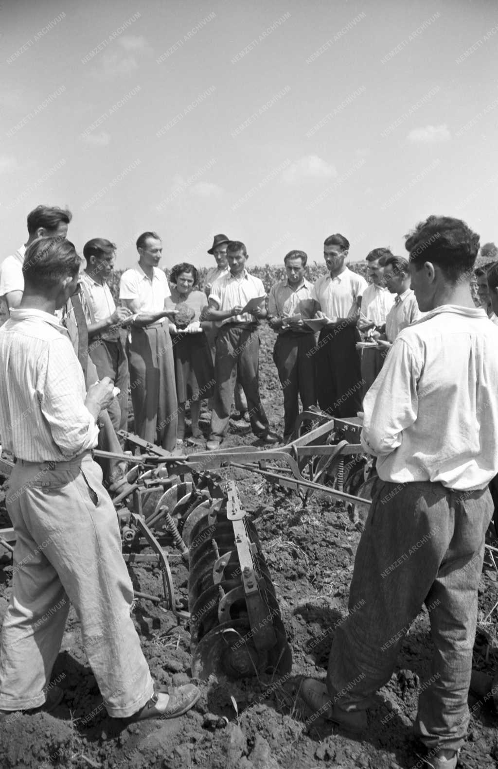 Mezőgazdaság - Agrártudományi Egyetem Tangazdasága