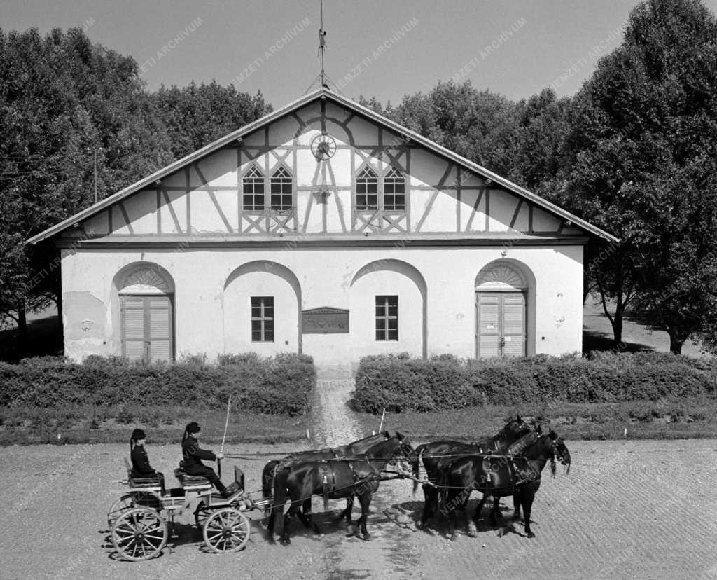 Mezőgazdaság - Évforduló - 180 éves a Mezőhegyesi Állami Gazdaság