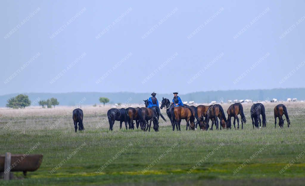 Turizmus - Hortobágy - Csikósok