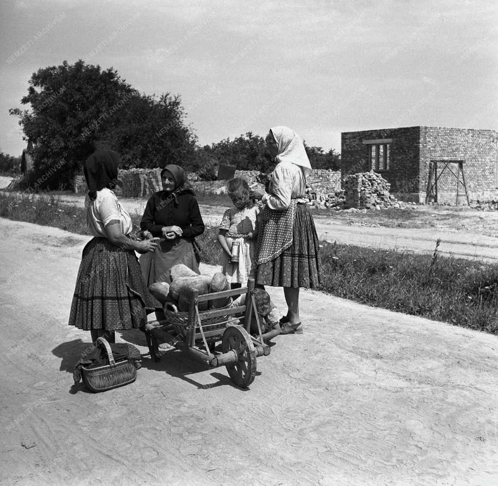 Életmód és szabadidő - Asszonyok beszélgetnek az utcán