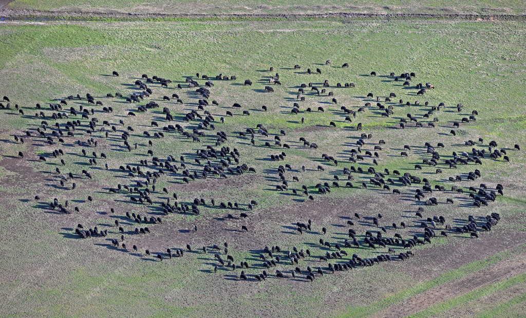 Nemzeti park - Hortobágy