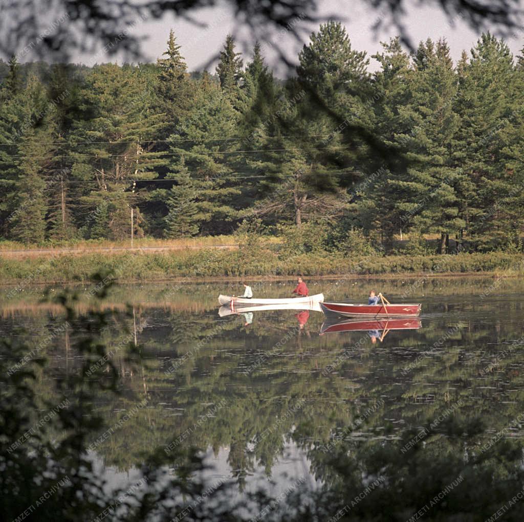 Tájkép - Kanada - Algonquin Nemzeti Park