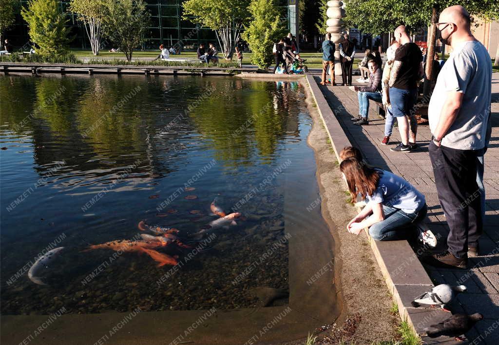 Városkép - Budapest - Millenáris Széllkapu Park