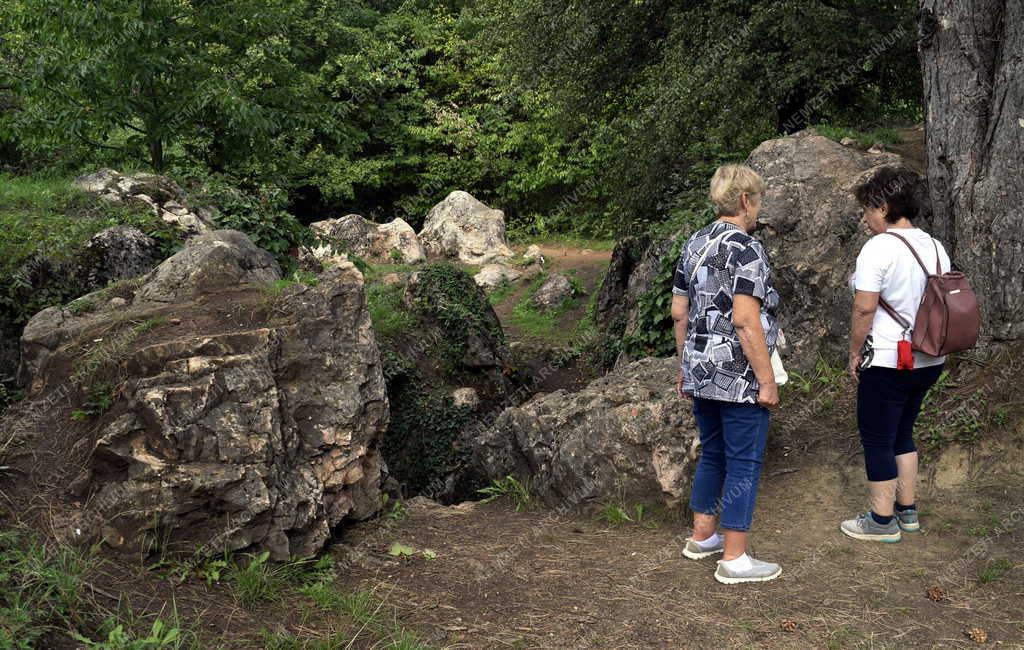 Természet - Csárda-hegyi őskarszt Úrkútnál