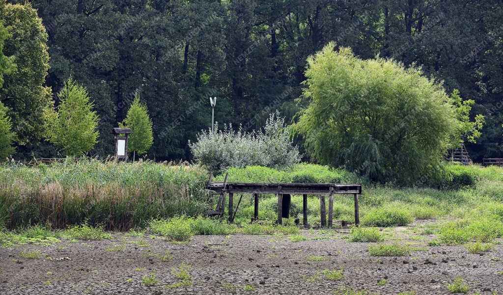 Természet - Időjárás - Kiszáradtak a tavak a debreceni Erdőspusztán