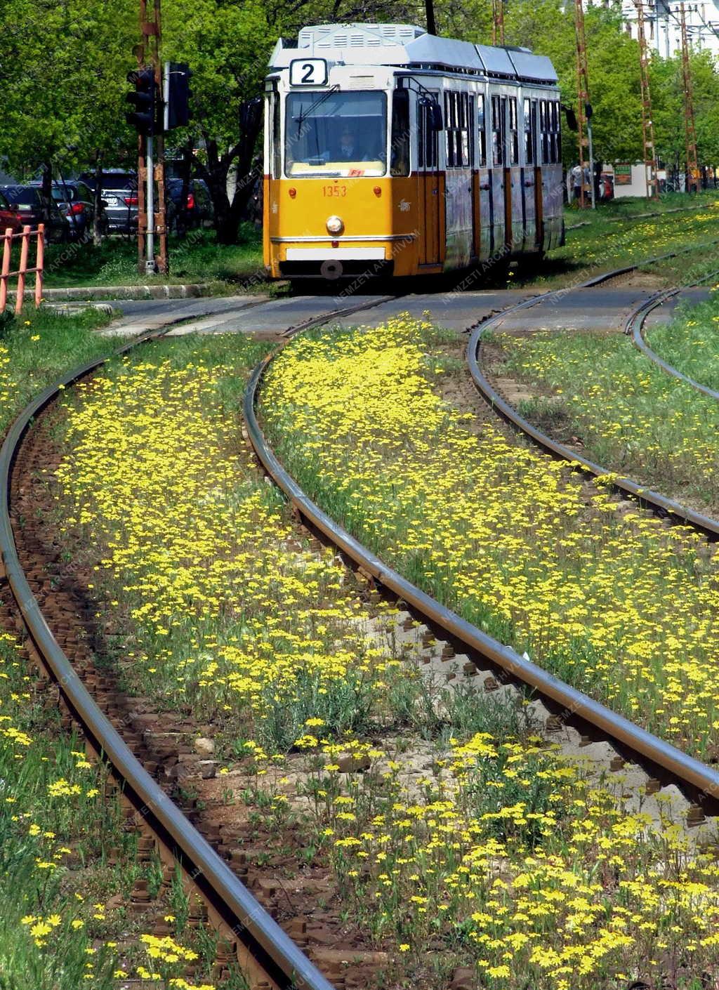 Évszak - Budapest - Tavasz a fővárosban