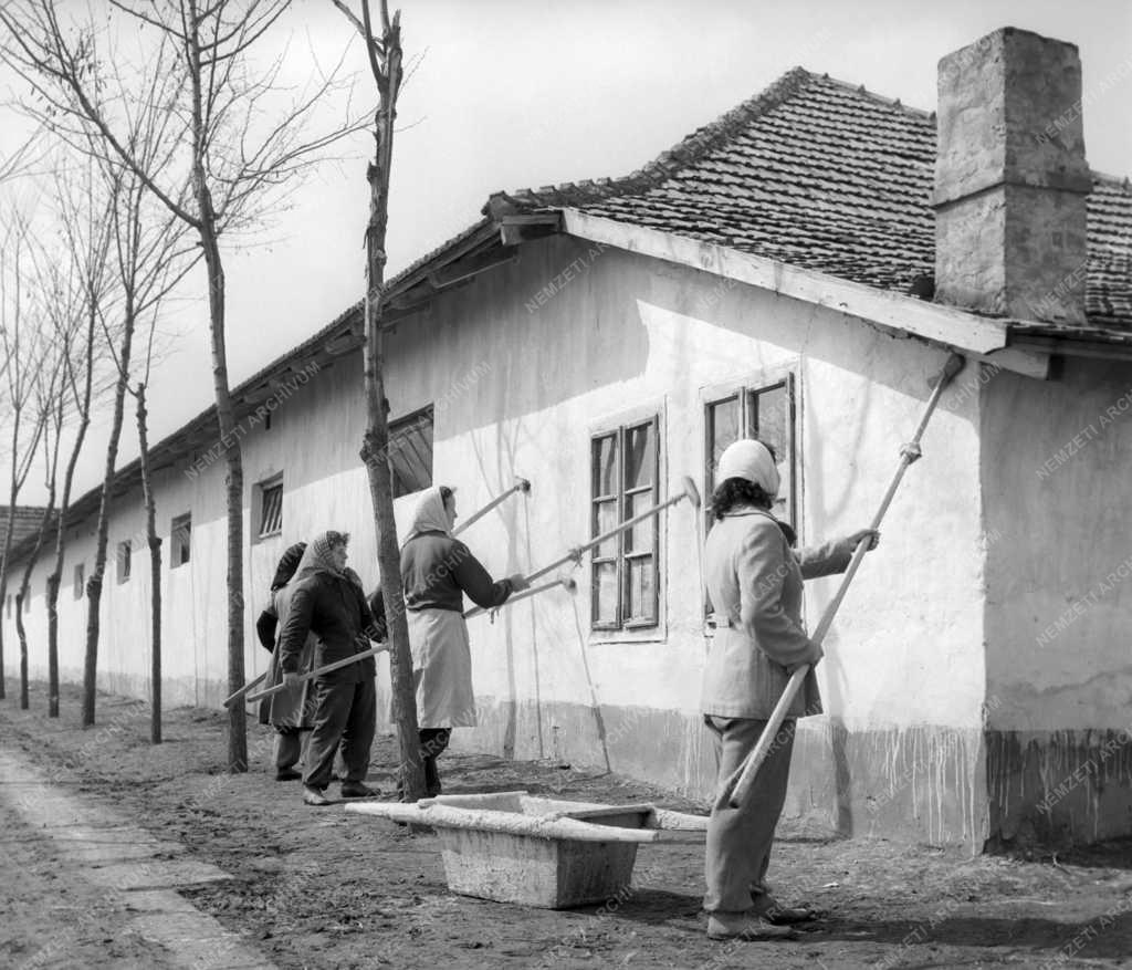 Mezőgazdaság - A végegyházi Szabadság Tsz