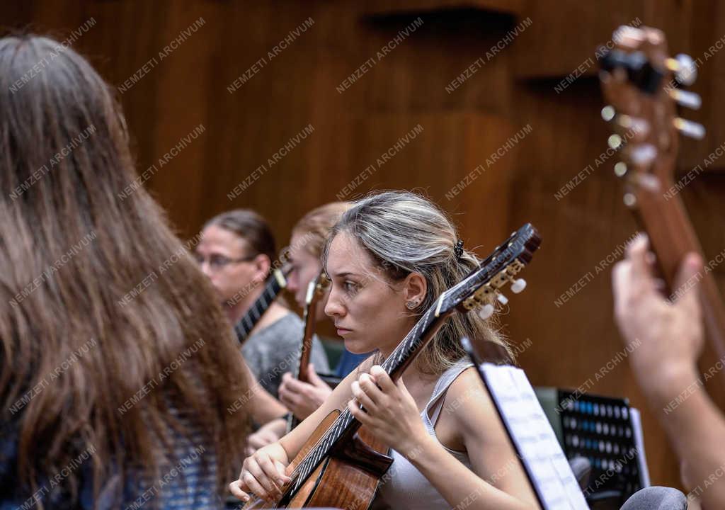 Művészet - Debrecen - Gitáros találkozó 