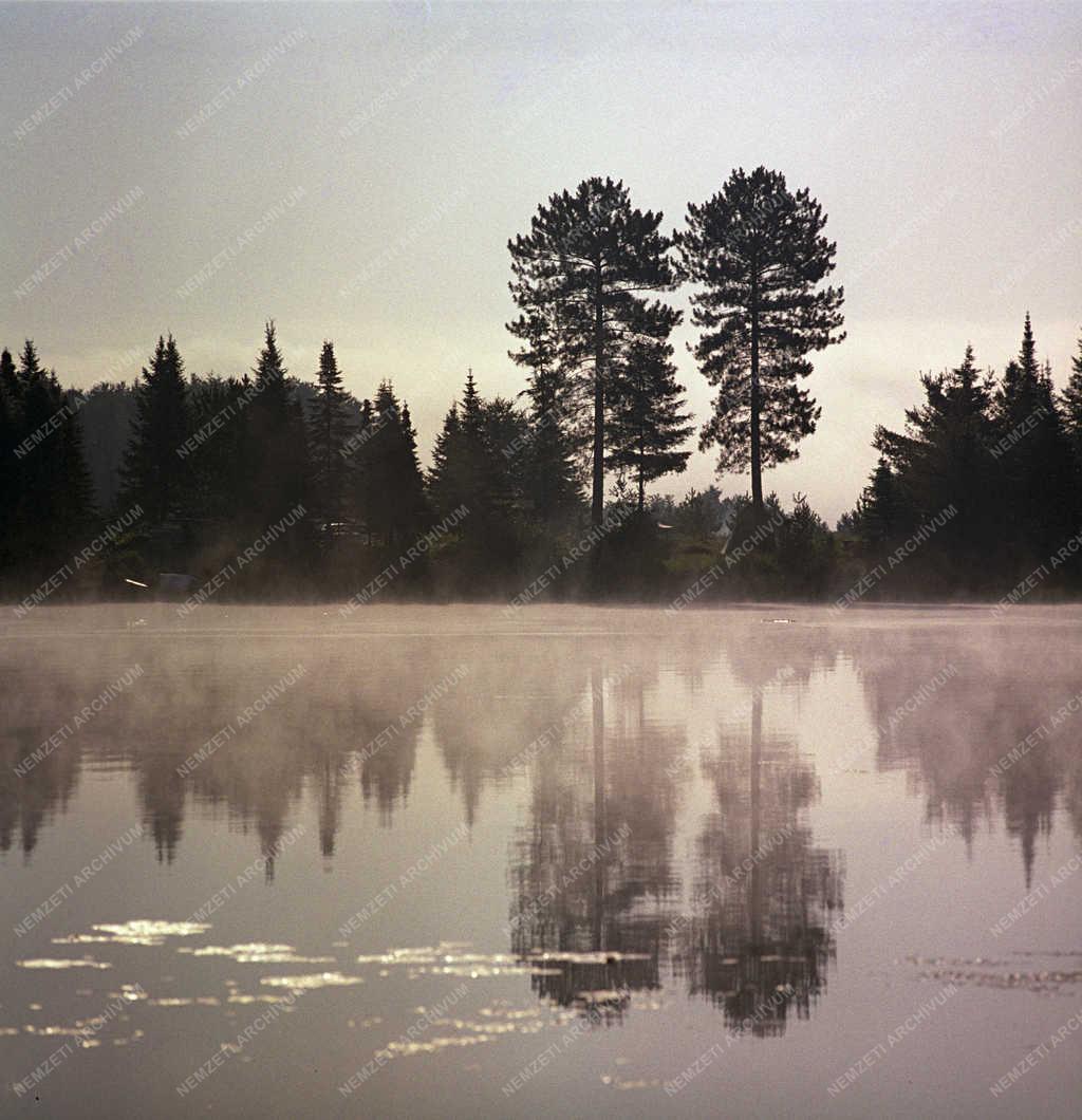 Tájkép - Kanada - Algonquin Nemzeti Park