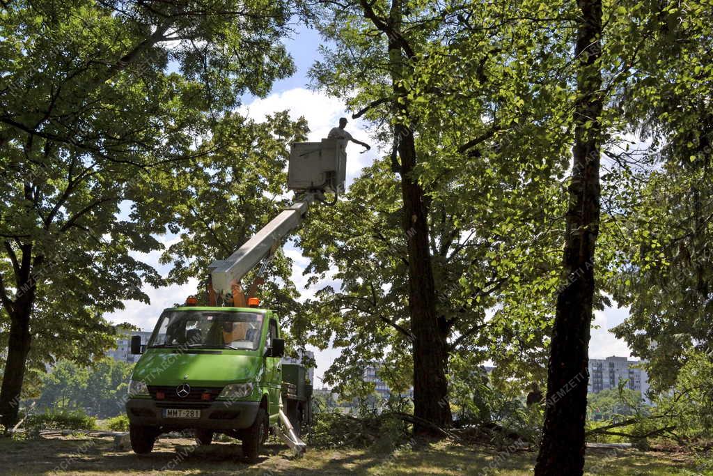 Munka - Budapest - Kertészek dolgoznak a Margitszigeten