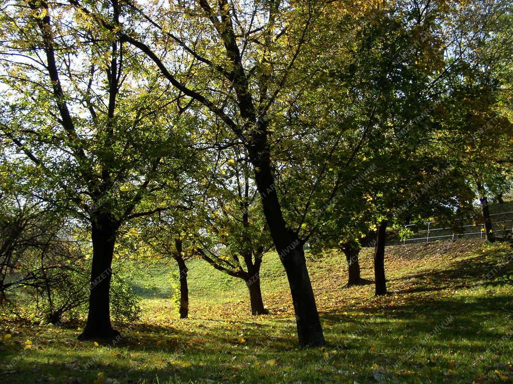 Budapest - Őszi Tabán