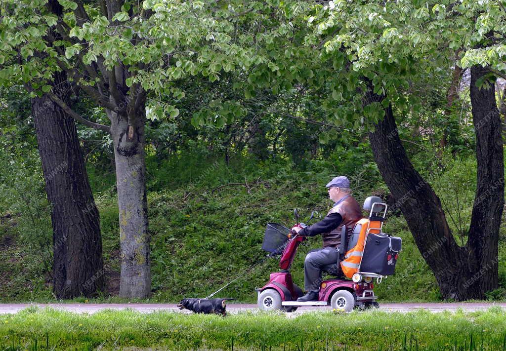 Városkép - Tatabánya - Millenniumi Közpark