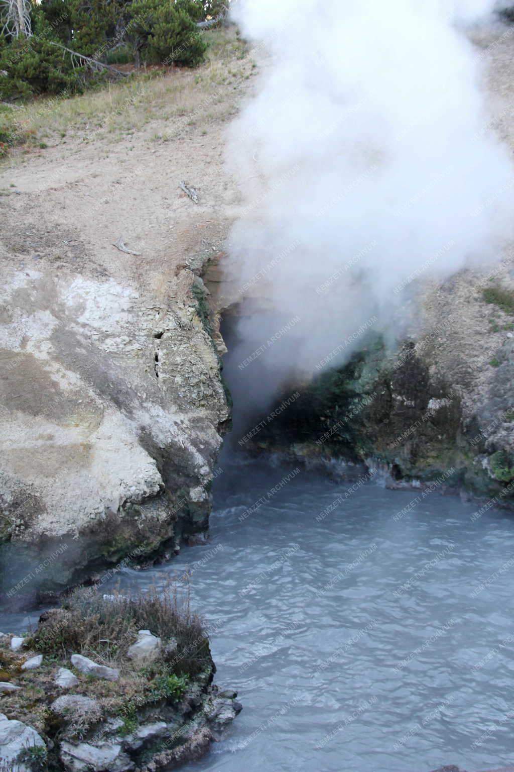 Természet - Yellowstone Nemzeti Park