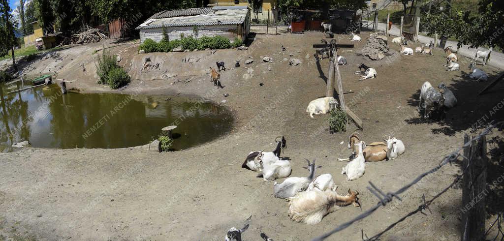 Természet - Budapest - Állatpark a Népszigeten