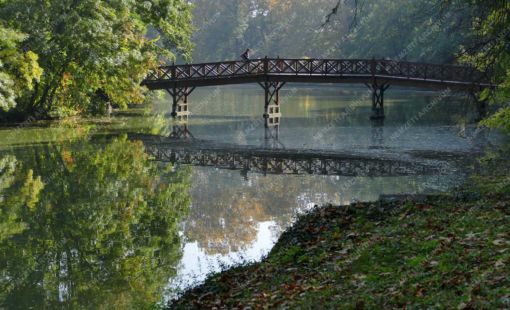 Természet - Martonvásár - Ősz a Brunszvik-kastély parkjában