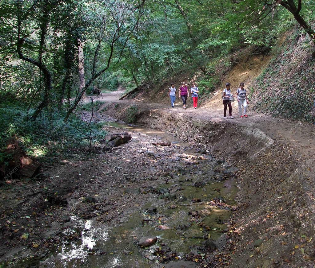 Belföldi turizmus - Solymár - Természetjárók a Paprikás pataknál