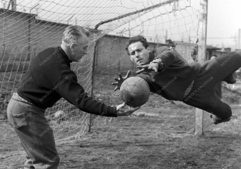 Sport - Labdarúgás - Felkészülés a Wales - Magyarország mérkőzésre