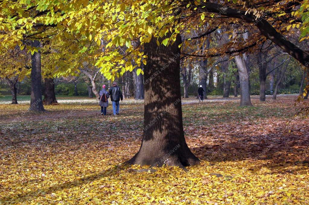 Természet - Park - Ősz a Margitszigeten