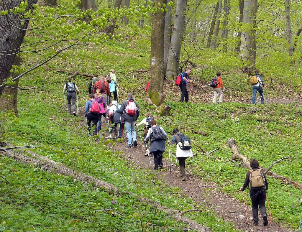 Vértes -  Természetjárás - Nordic Walkingozók 