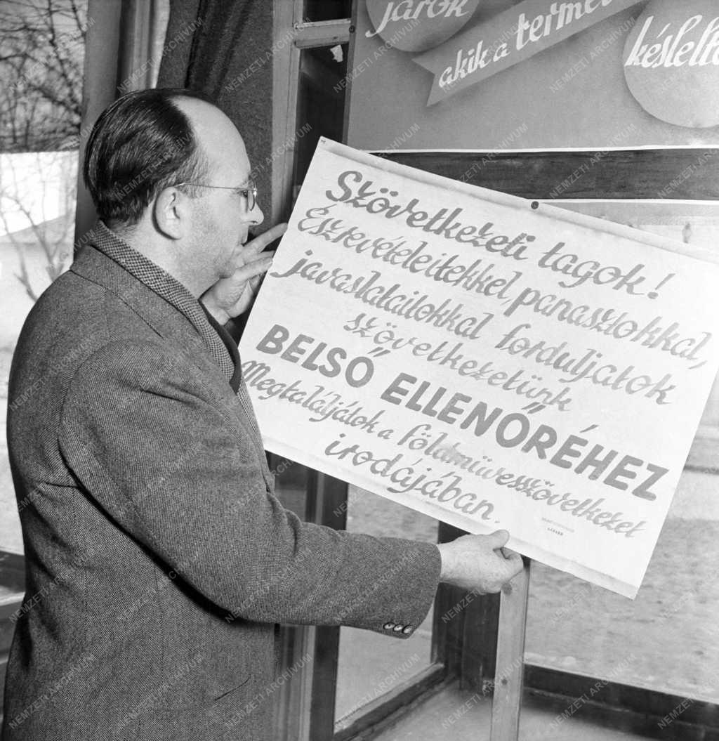 Mezőgazdaság - Szövetkezeti belső ellenőr