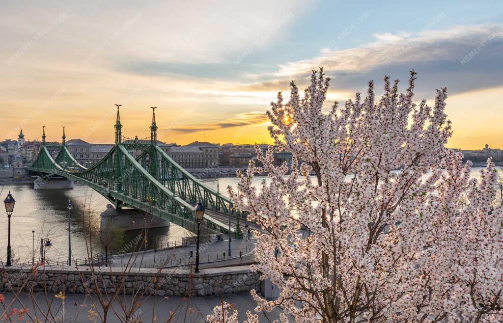 Városkép - Budapest - Napfelkelte a Gellért-hegyen