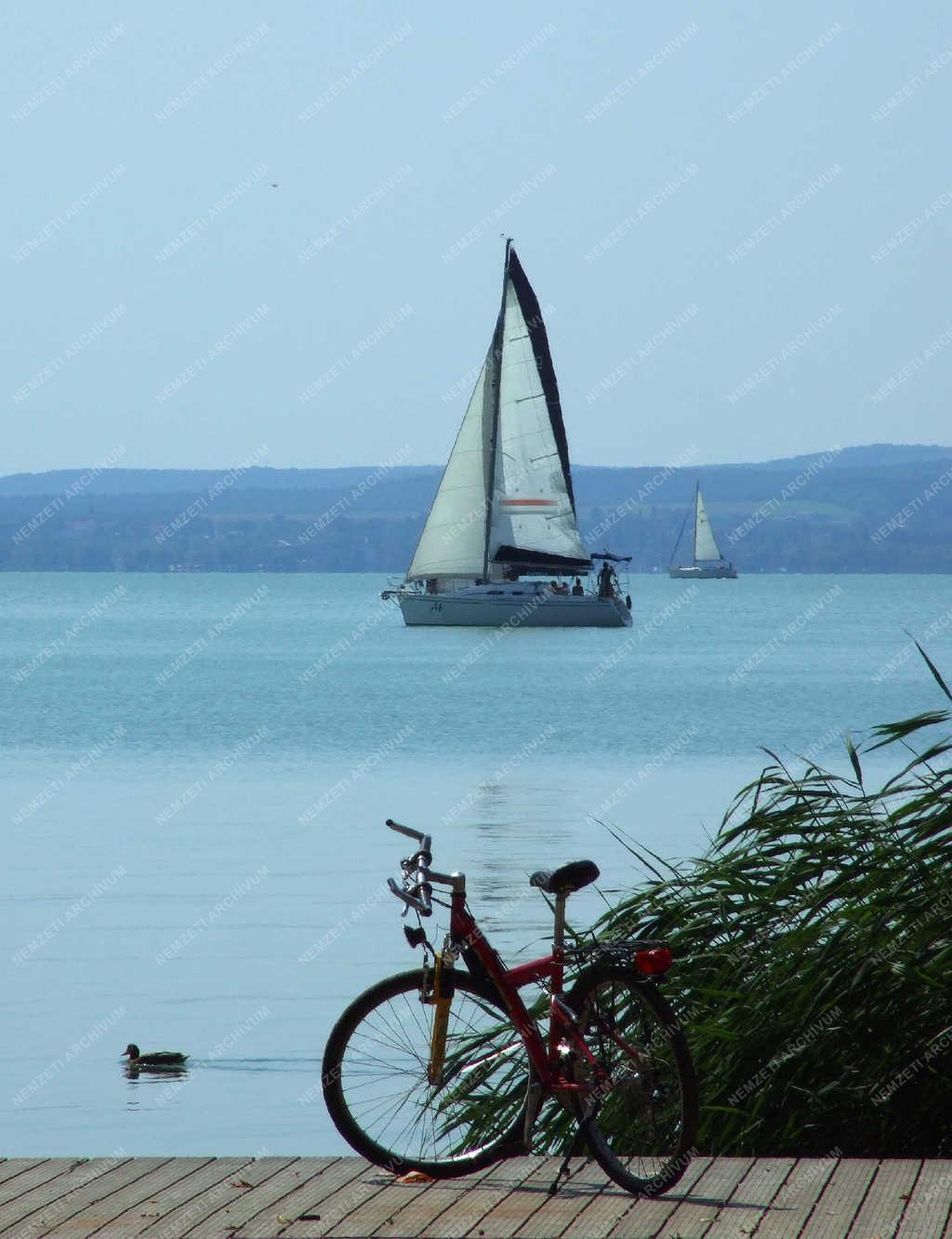 Tájkép - Balatonfüred - Vitorláshajók és tőkésréce a Balaton vizén