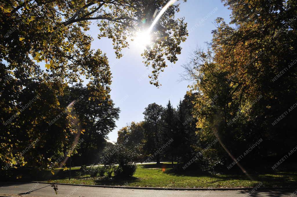 Városkép - Tájkép - Budapest - Ősz a Margitszigeten