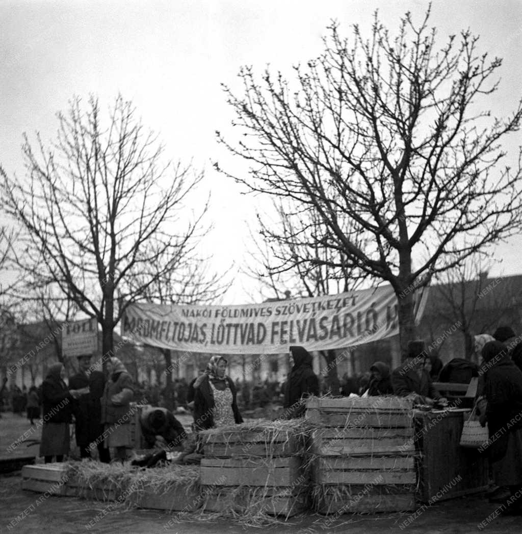 Mezőgazdaság - SZÖVOSZ-hír - Terménybegyűjtés