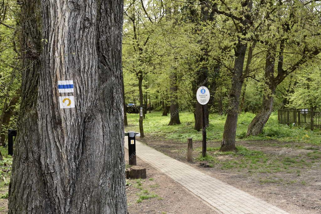 Természet - Szabadidő - Pilisi parkerdő Erzsébetteleknél