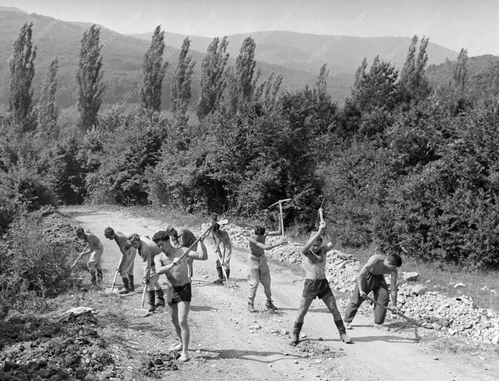 Szabadidő - Úttörőváros épül a Csanyik-völgyben