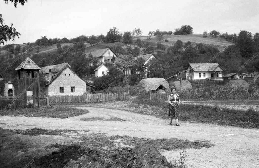 Tájak, városok - A Börzsöny