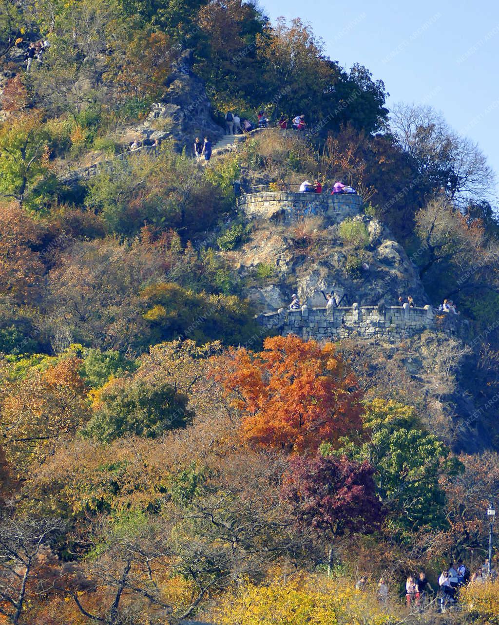 Természet - Budapest - Ősz a Gellért-hegyen