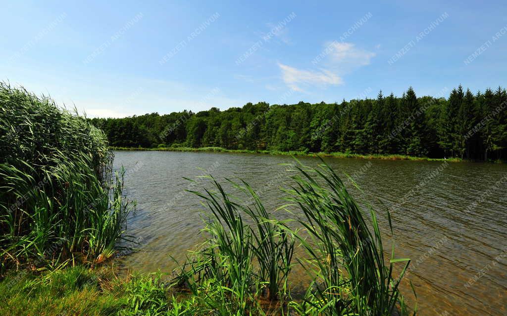 Őrségi Nemzeti Park - Máriaújfalu - Víztározó