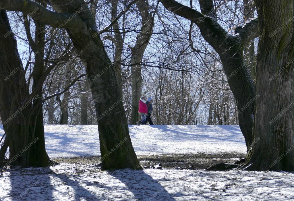 Természet - Budapest - Tél a Normafánál