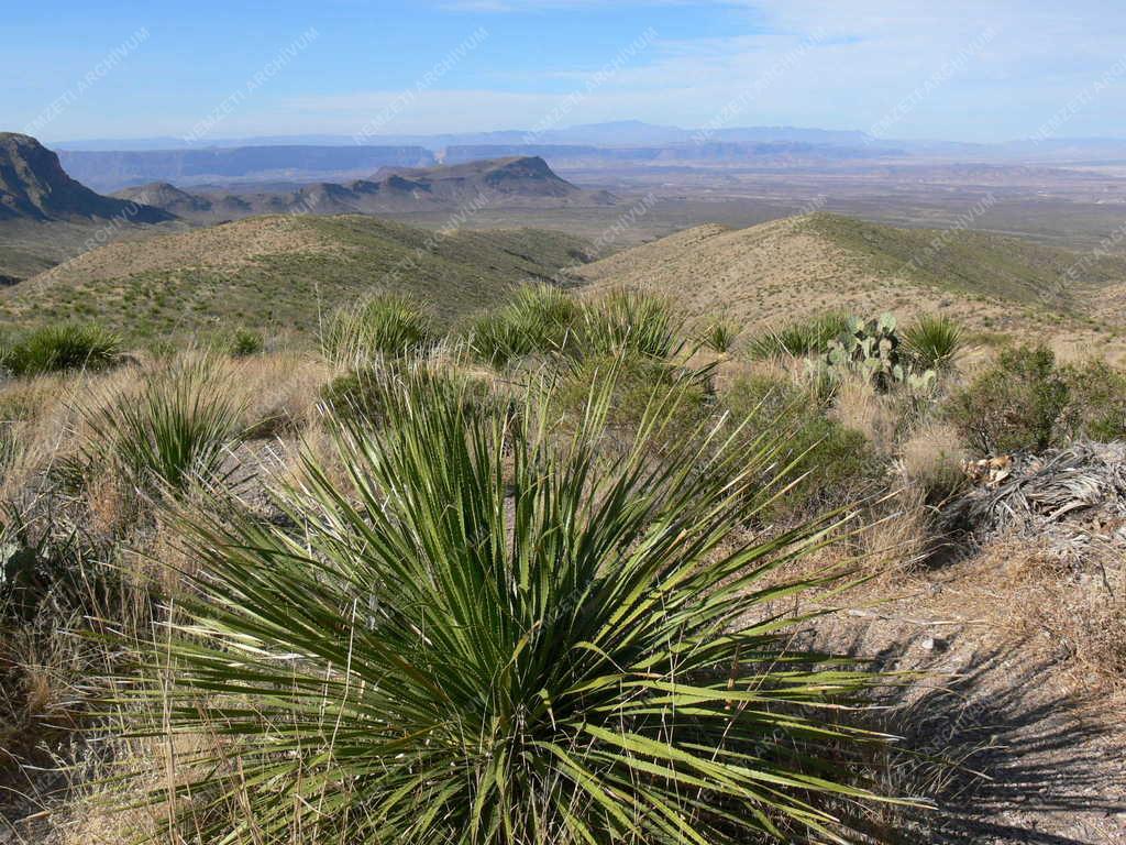 Tájak - Texas - Big Bend Nemzeti Park