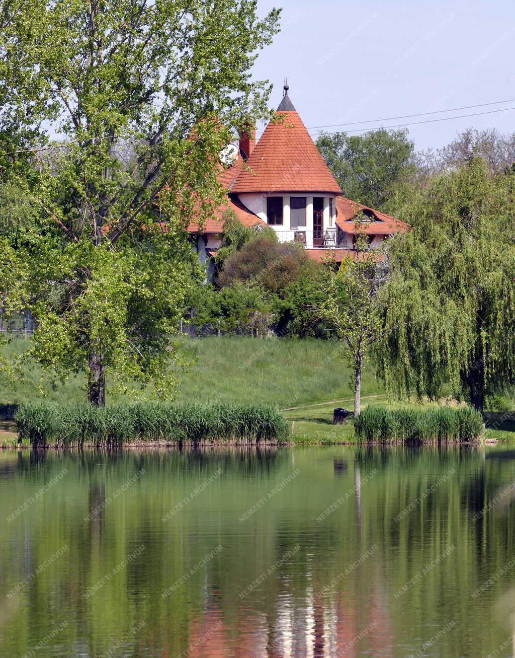 Természet - Veresenyházi-tavak - Ivacsi-tó