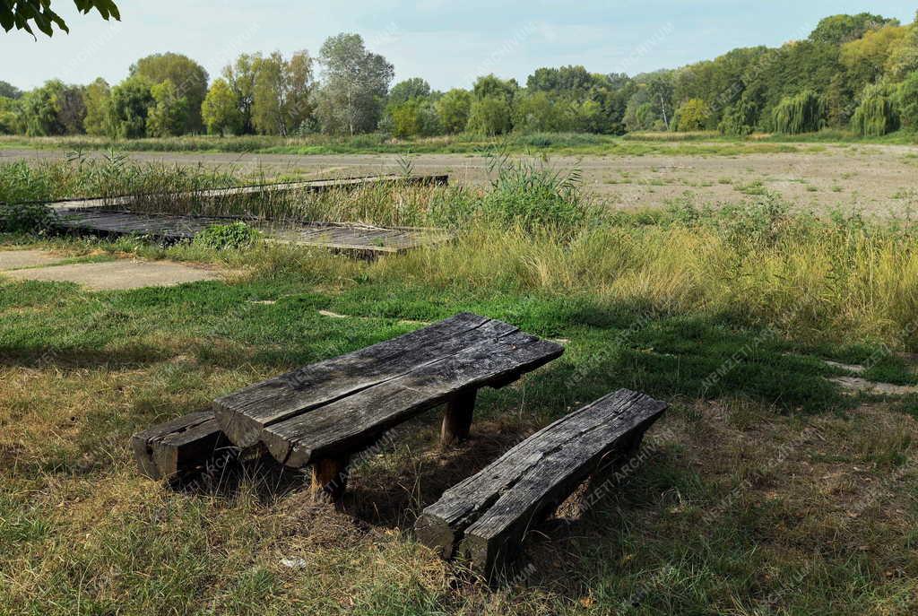 Természet - Időjárás - Kiszáradtak a tavak a debreceni Erdőspusztán