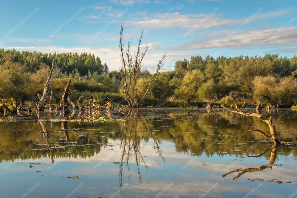 Természet - Tiszaalpár - Holt-Tisza 