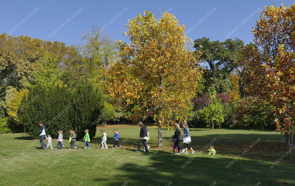 Természet - Martonvásár - Ősz a Brunszvik-kastély parkjában