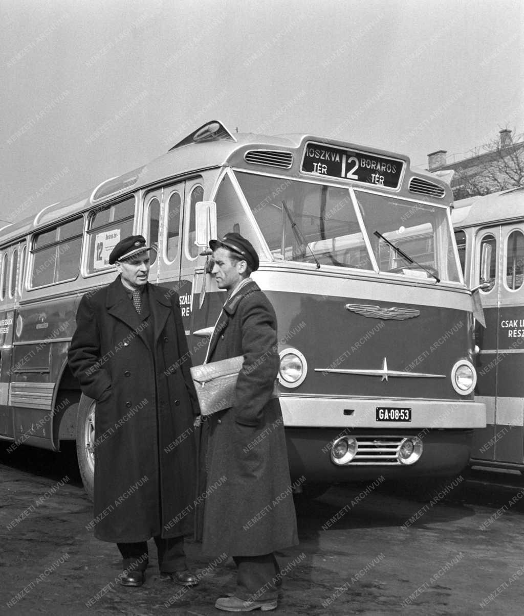 Közlekedés - Új buszok Budapesten