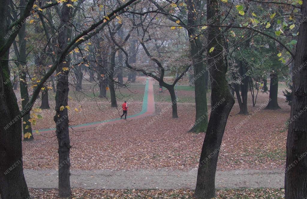 Testedzés - Budapest - Kocogó az őszi parkban