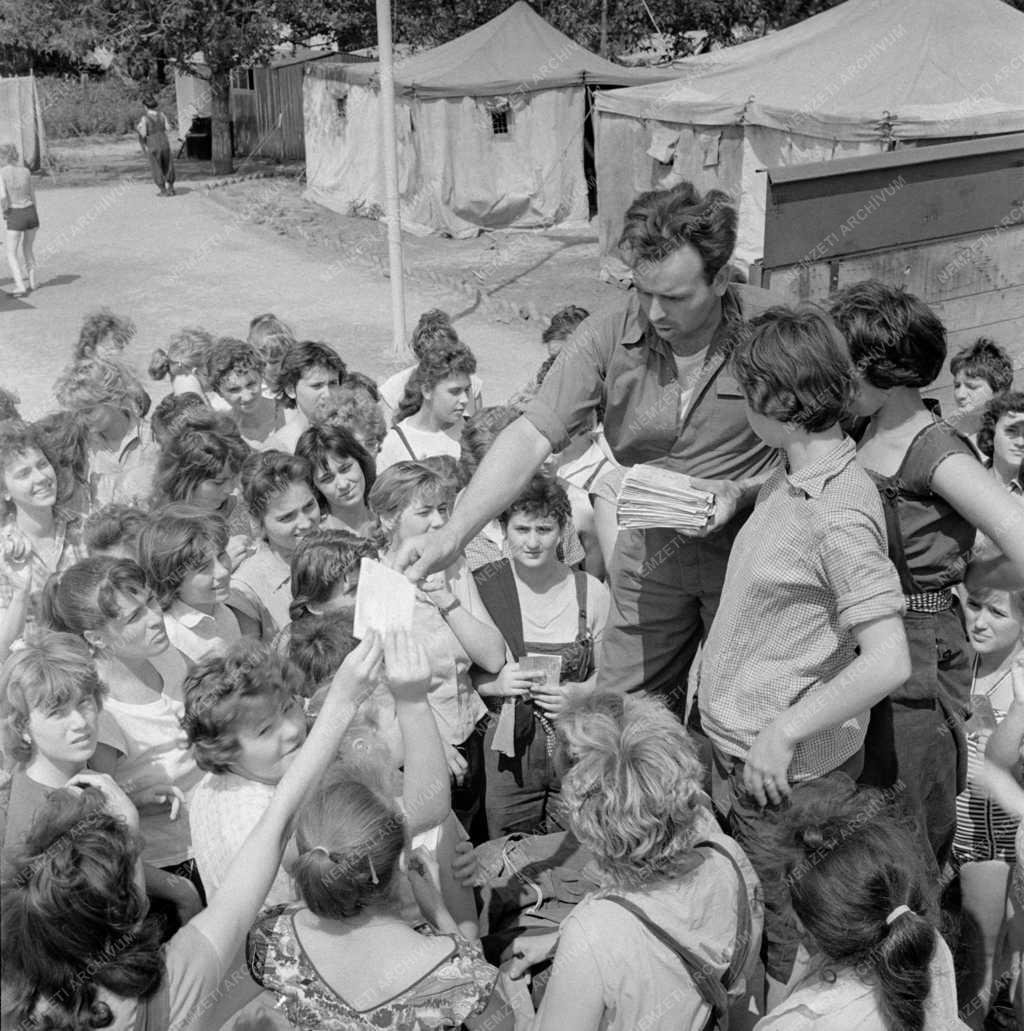 Mezőgazdaság - Postás érkezik a KISZ leánytáborba 