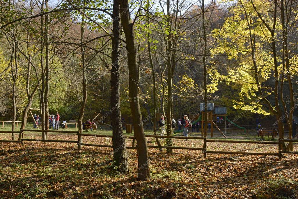 Természet - Szokolya - Szabadidőpark az őszi erdőben